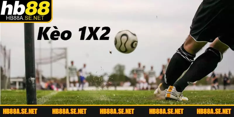 Kèo Châu Âu Là Gì? Kinh Nghiệm Chơi Dễ Thắng Từ HB88 4 Bí quyết chơi kèo châu Âu ổn định và an toàn
