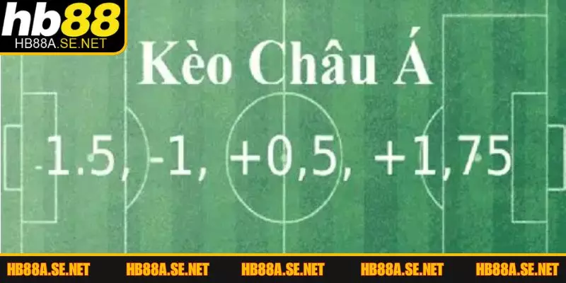 Kèo Châu Á Là Gì? Cách Đọc Kèo Chuẩn Xác Cùng HB88 3 Cách đọc kèo châu Á là gì đơn giản cho người mới