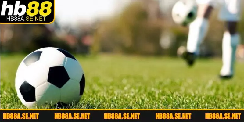 Kèo Châu Á Là Gì? Cách Đọc Kèo Chuẩn Xác Cùng HB88 4 Cách phân tích kèo châu Á chuẩn trước khi đặt cược