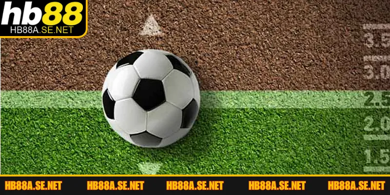 Kèo Tài Xỉu - Chinh Phục Mọi Giải Đấu Bóng Đánh Đặc Sắc 2 Đôi nét cơ bản về hình thức kèo tài xỉu kịch tính