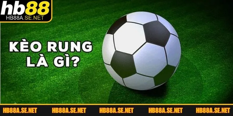 Kèo Rung Là Gì - Giải Đáp Băn Khoăn Cho Người Mới 2 Giải đáp nhanh kèo rung là gì