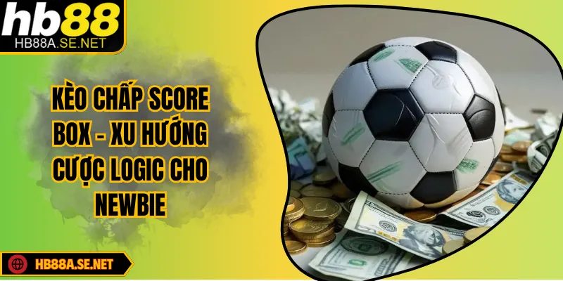 Kèo Chấp Score Box – Xu Hướng Cược Logic Cho Newbie 5 Kèo Chấp Score Box – Xu Hướng Cược Logic Cho Newbie