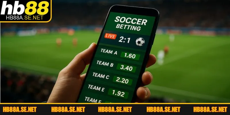 Kèo Rung 15 Phút - Giải Đáp Mọi Thắc Mắc Về Kiểu Cược 2 Kèo rung 15 phút khá đáng tham gia