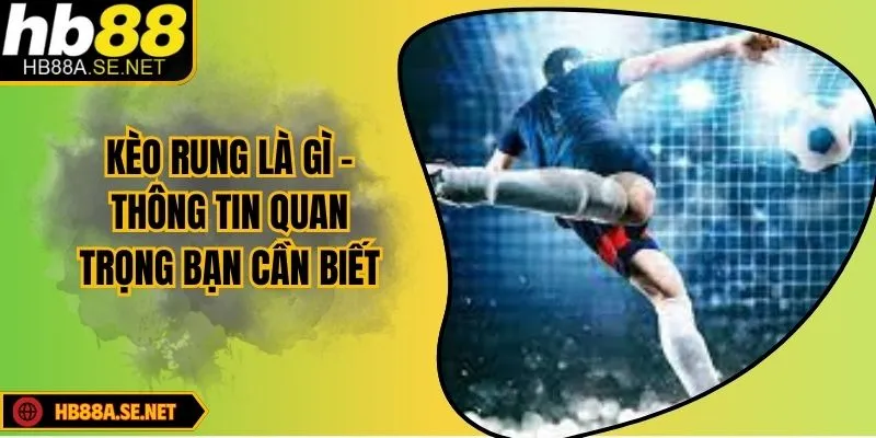 Kèo Rung Là Gì - Giải Đáp Băn Khoăn Cho Người Mới 3 Kèo Rung Là Gì - Thông Tin Quan Trọng Bạn Cần Biết