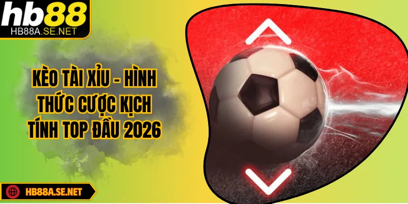 Kèo Tài Xỉu - Chinh Phục Mọi Giải Đấu Bóng Đánh Đặc Sắc 7 Kèo Tài Xỉu - Hình Thức Cược Kịch Tính Top Đầu 2026