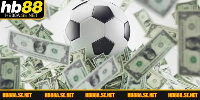 Kèo Chấp 3/4 - Mẹo Chinh Phục Mọi Giải Đấu Lớn 2026 4 Kinh nghiệm soi cược bóng đá 0.75 siêu cấp hiệu quả