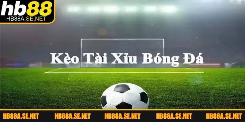 Kèo Tài Xỉu - Chinh Phục Mọi Giải Đấu Bóng Đánh Đặc Sắc 4 Những loại hình cá cược Over/Under phổ biến top đầu 2026