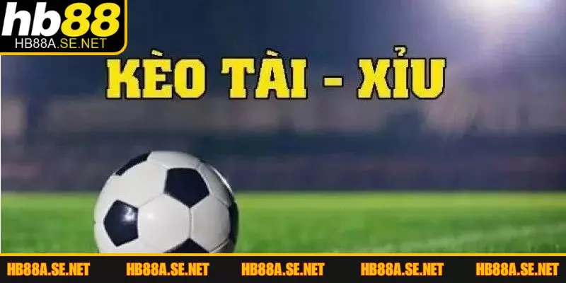 Soi Kèo Tài Xỉu Chuẩn Xác Cùng Nhà Cái HB88 Uy Tín 2 Những thông tin cơ bản về soi kèo tài xỉu
