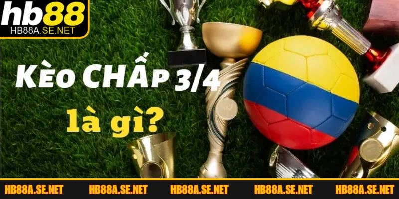 Kèo Chấp 3/4 - Mẹo Chinh Phục Mọi Giải Đấu Lớn 2026 2 Tổng quan dữ liệu chuẩn về kèo chấp 3/4 đặc sắc